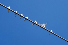 2sc_0057