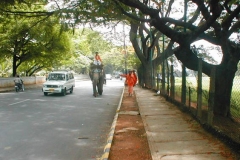 26_20040