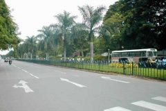 p62200981