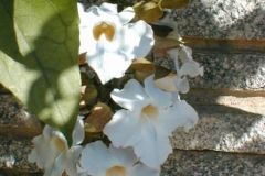08_40001