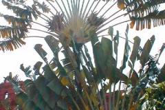 p1010084