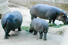 p3300119