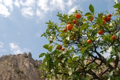 2sc_0080