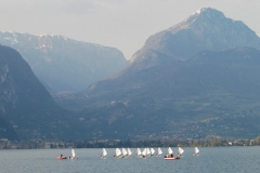 3sc_0393