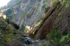1sc_0597