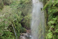 1sc_0079_81