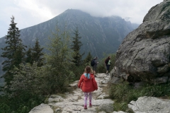 img_20200815_171255_1