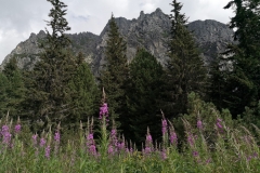 img_20200816_142500