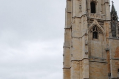 dsc_0377