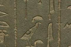 1ict0161