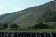 1ict0347
