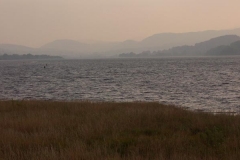1ict0370