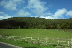 7ict0257