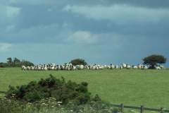 3ict0159