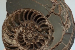 p1030493
