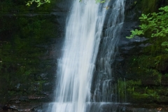 1sc_0306