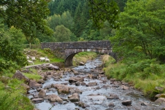 1sc_0360