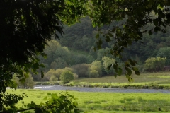 img_20200829_084946