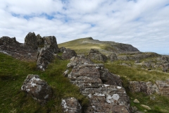 dsc_8046