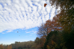 IMG_20201106_105507