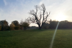 IMG_20201107_150357_1