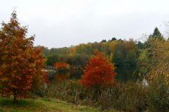 IMG_20201108_140550