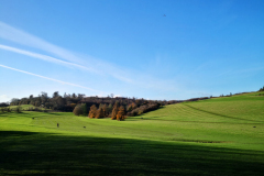IMG_20201201_122517_1