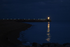 DSC_1689