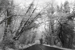 IMG_20210207_130030