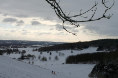 IMG_20210209_150237