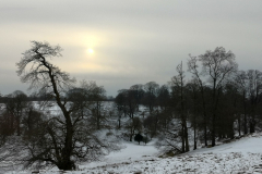 IMG_20210213_161655
