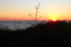 IMG_20210228_172850