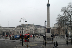 IMG_20220115_094139