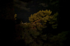 IMG_20220821_212910