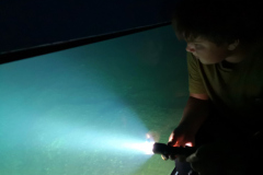 IMG_20220826_200317