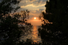 IMG_20220828_190734