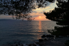 IMG_20220828_190831
