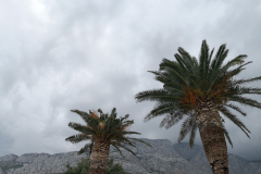 IMG_20220829_134413