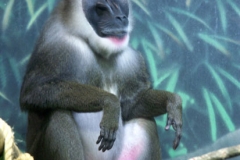 1ict0076