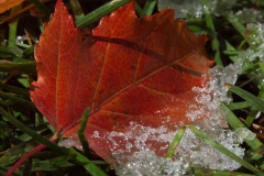 pict0030