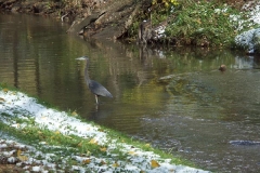 pict0047