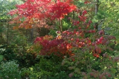pict0004