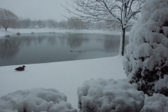 pict0016