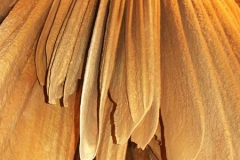 pict0010