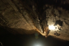 3ict0139