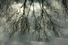 pict0088
