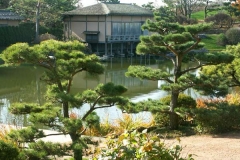 pict0024