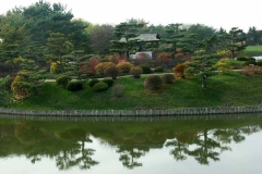 pict0031