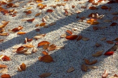 pict0154