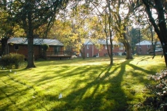 pa250139-vi